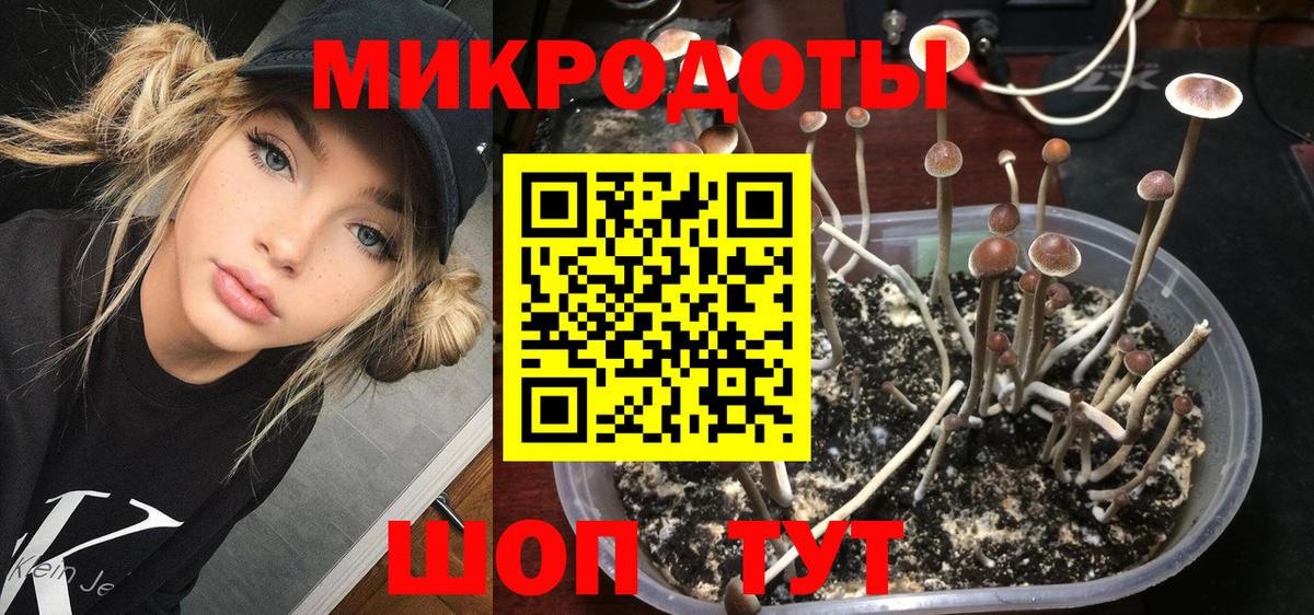 Галлюциногенные грибы Psilocybine cubensis  Вход с VPN  Галлюциногенные грибы Psilocybe  даркнет сайт  Пушкино 